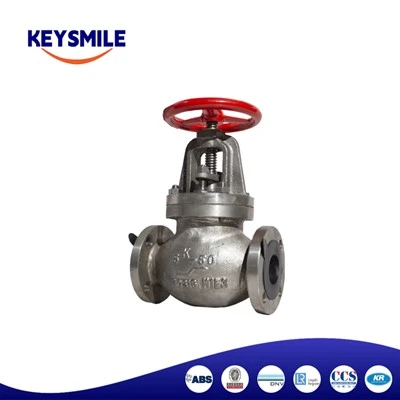 Marine Stainless Angle Check Valves