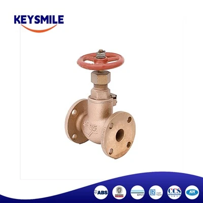 Marine Bronze Globe Check Valves