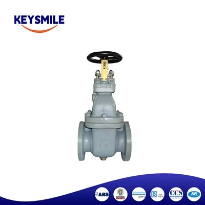 Marine Cast Iron Gate Valves