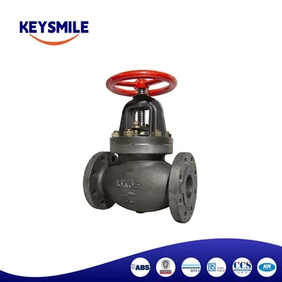 Marine Cast Iron Globe Check Valves