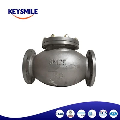 Marine Cast Iron Lift Check Globe Valves