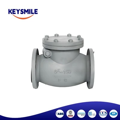 Marine Cast Iron Swing Check Valves